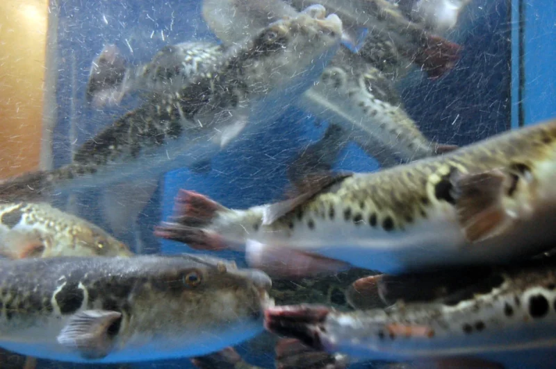 削ったのは、価値を守るため。